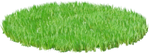 Grass