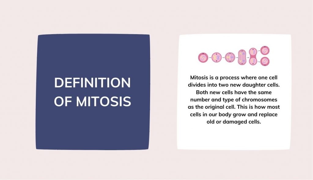 Flashcard with definition and diagram