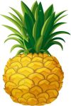 pineapple