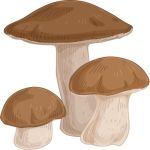 mushroom