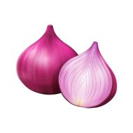 onion