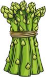 asparagus